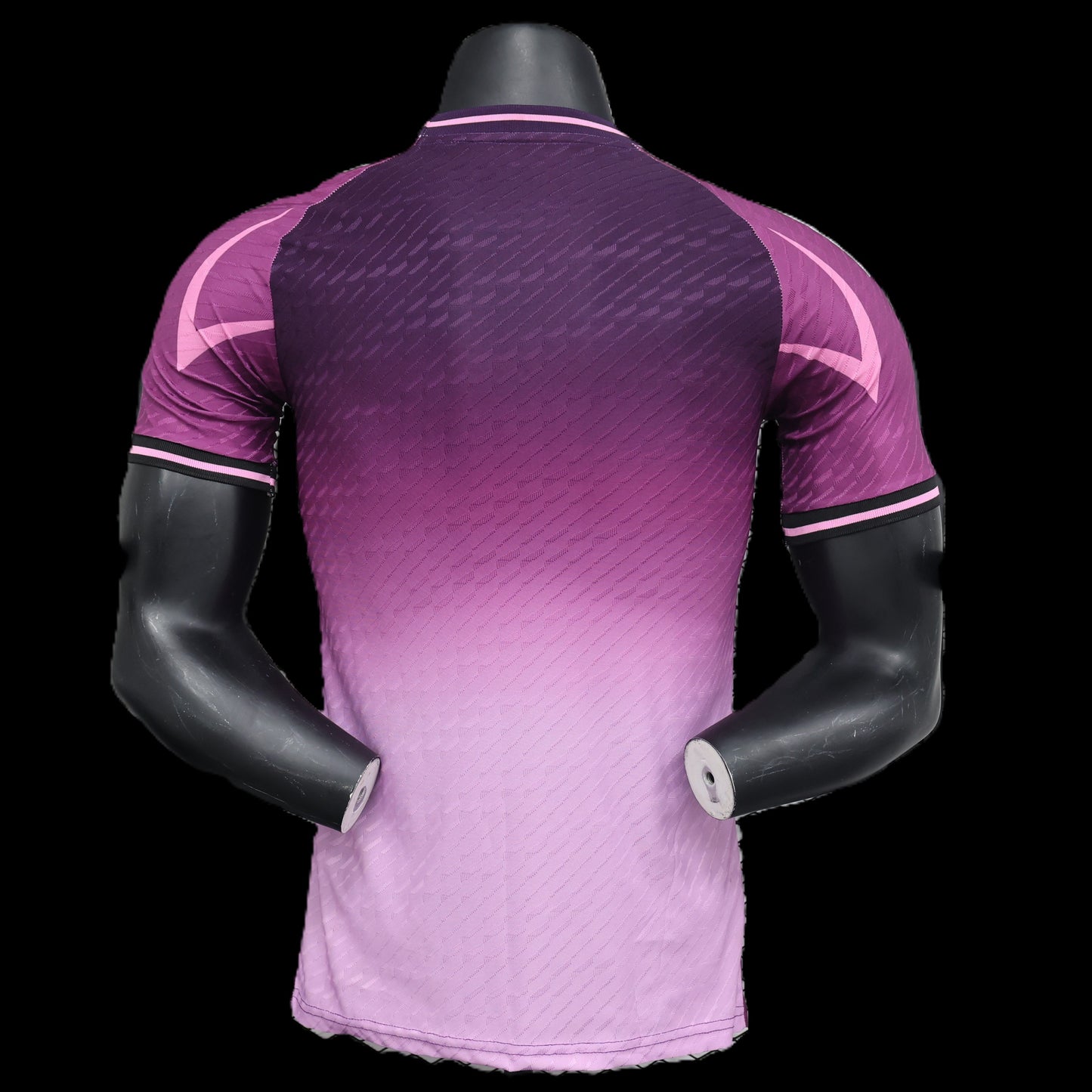 Japan 2024/2025 Player Version