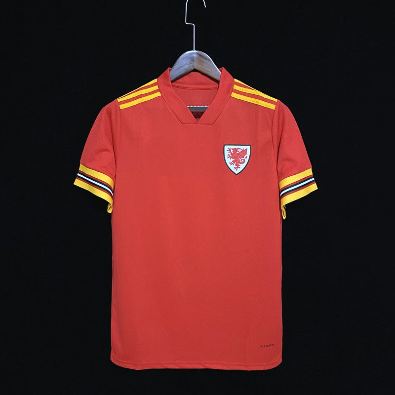 Wales 2020/2021 Home