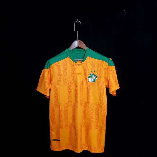 Ivory Coast 2020/2021 Home